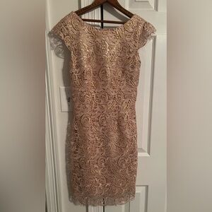 Cap Sleeve Lace Knee Length Gold/Beige Dress